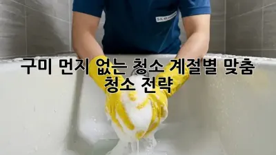 구미 먼지 없는 청소: 계절별 맞춤 청소 전략