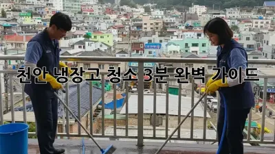 천안 냉장고 청소, 3분 완벽 가이드!