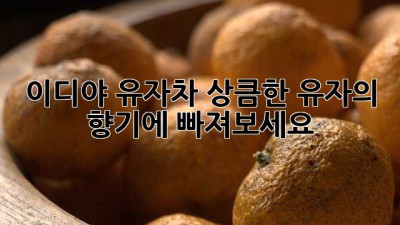 이디야 유자차: 상큼한 유자의 향기에 빠져보세요!