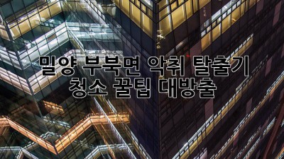 🤯 밀양 부북면 악취 탈출기! ✨ 청소 꿀팁 대방출